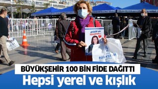 Büyükşehir 100 bin fide dağıttı