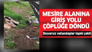 Mesire alanına giriş yolu çöplüğe döndü