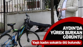 Yaşlı kadın sokakta ölü bulundu