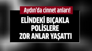 Aydın'da cinnet anları!