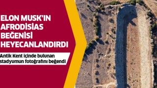 Elon Musk'ın Afrodisias beğenisi heyecanlandırdı