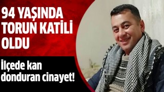 İhtiyar adam torun katili oldu