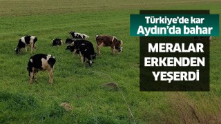 Türkiye’de kar, Aydın’da bahar yaşanıyor