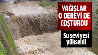 Yağışlar o dereyi de coşturdu