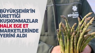 Büyükşehir’in ürettiği kuşkonmazlar Halk Ege Et Market'lerinde yerini aldı