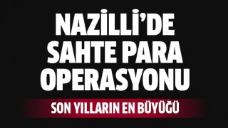 Nazilli polisinden sahte dolar operasyonu