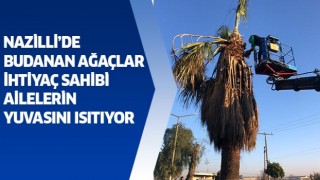 Nazilli’de budanan ağaçlar ihtiyaç sahibi ailelerin yuvasını ısıtıyor