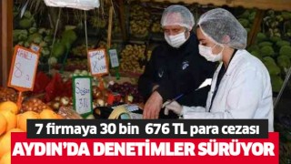 Aydın'da 7 firmaya 30 bin 676 TL para cezası kesildi