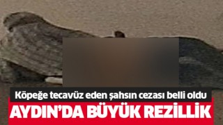 Aydın'da büyük rezillik