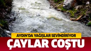 Aydın'da çaylar coştu