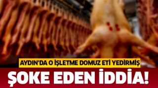 Aydın'da domuz eti iddiası'