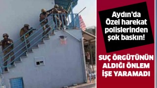 Aydın'da suç örgütüne operasyon!