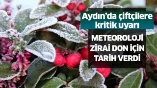 Aydın'da zirai don bekleniyor