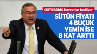 Chp’li Bülbül: Üreticiler hayvanlarını kesiyor