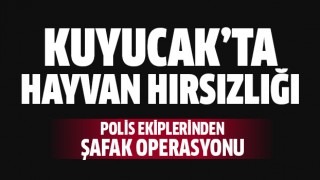 Hayvan hırsızları Kuyucak Polisi'nden kaçamadı!