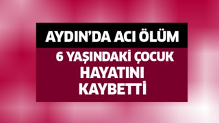 Aydın'da acı ölüm!