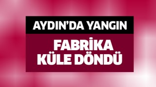 Aydın'da yanan fabrika küle döndü