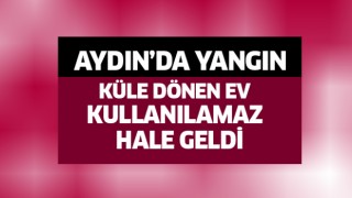 AYDIN'DA YANGIN!