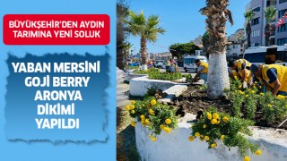 Büyükşehir'den Aydın tarımına yeni soluk