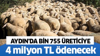 Aydın'da bin 755 üreticiye 4 milyon TL ödenecek