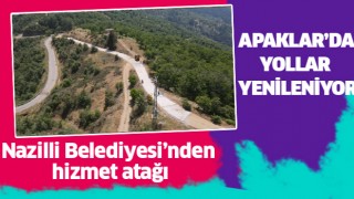 Apaklar'da yollar yenileniyor