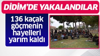 Didim'de 136 kaçak göçmen yakalandı