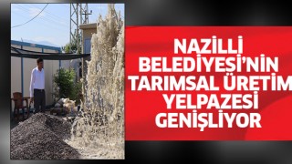 Nazilli Belediyesi’nin çalışmalarıyla tarımsal üretim yelpazesi genişliyor