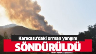 Karacasu'daki orman yangını söndürüldü