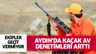 Aydın'da kaçak ava geçit yok