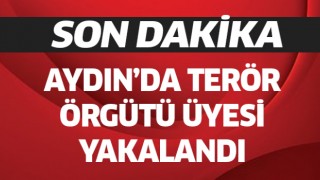 Aydın'da DEAŞ terör örgütü üyesi yakalandı