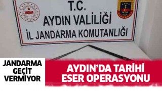 Aydın'da tarihi eser operasyonu