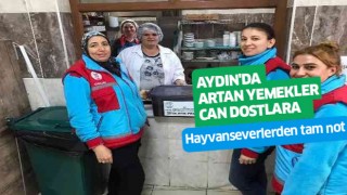 Aydın'da artan yemekler can dostlara veriliyor