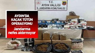 Aydın'da Jandarmadan kaçak tütün operasyonu: 2 gözaltı