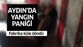 Aydın'da yanan fabrika küle döndü