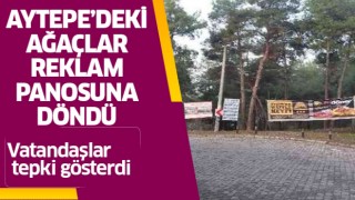 Aytepe'deki ağaçlar reklam panosuna döndü