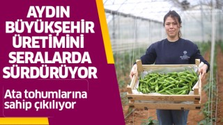 Büyükşehir, seralarda üretimini sürdürüyor