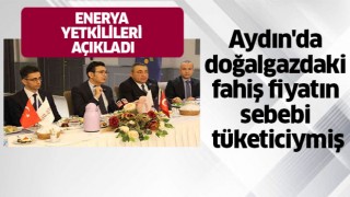 Enerya yetkilileri fahiş fiyatların sebebini açıkladı