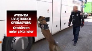 Aydın'da uyuşturucu operasyonu!