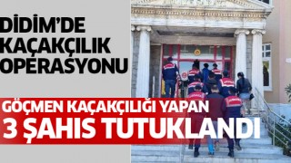 Didim'de 3 göçmen kaçakçısı yakalandı