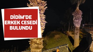 Didim'de bir kişinin cansız bedeni bulundu