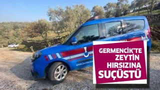 Germencik'te zeytin hırsızı suçüstü yakalandı