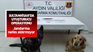 Sultanhisar'da uyuşturucu operasyonu