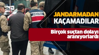 Aydın'da aranan şahıslar jandarmaya takıldı