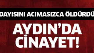 Aydın'da bir şahıs dayısını öldürdü