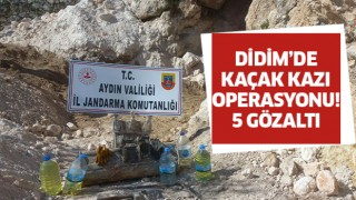 Didim'de kaçak kazı operasyonu: 5 gözaltı