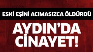 Didim'deki kadın cinayetinin sebebi kan dondurdu