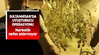 Sultanhisar'da uyuşturucu operasyonu