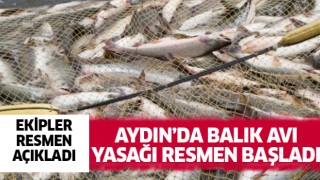 Aydın'da balık avı yasağı başladı