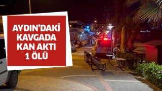 Aydın'da silahlı kavga: 1 ölü