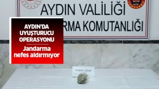 Aydın'da uyuşturucu operasyonu: 1 gözaltı